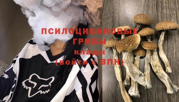 винт Наволоки