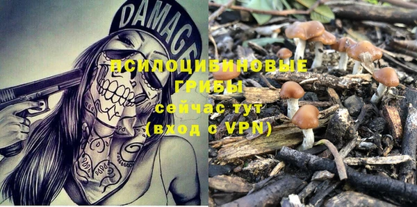 винт Наволоки