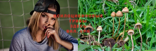 ПСИЛОЦИБИНОВЫЕ ГРИБЫ Навашино