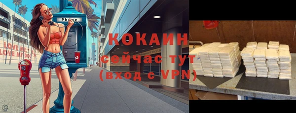 дмт Бородино