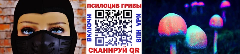Галлюциногенные грибы MAGIC MUSHROOMS  Дмитриев 