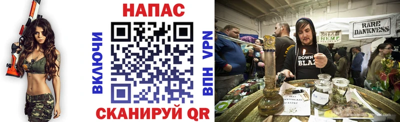 где найти   Дмитриев  Каннабис гибрид 